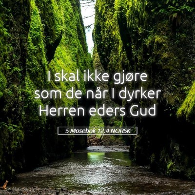 Picture 05 - 5 Mosebok 12:4 NORSK - I skal ikke gjøre som de når I dyrker Herren - Bible Verse Picture