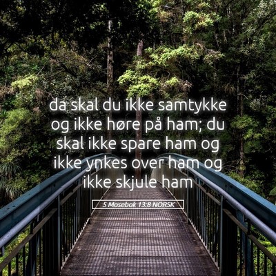 Picture 05 - 5 Mosebok 13:8 NORSK - da skal du ikke samtykke og ikke høre på ham; - Bible Verse Picture