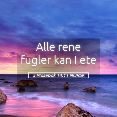 Picture 05 - 5 Mosebok 14:11 NORSK - Alle rene fugler kan I - Bible Verse Picture