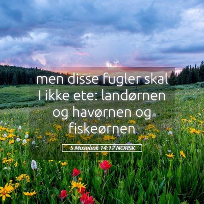 Picture 05 - 5 Mosebok 14:12 NORSK - men disse fugler skal I ikke ete: landørnen og - Bible Verse Picture