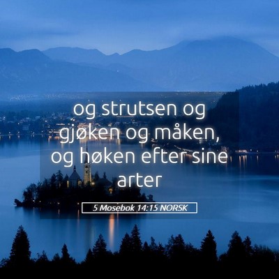 Picture 05 - 5 Mosebok 14:15 NORSK - og strutsen og gjøken og måken, og høken efter - Bible Verse Picture