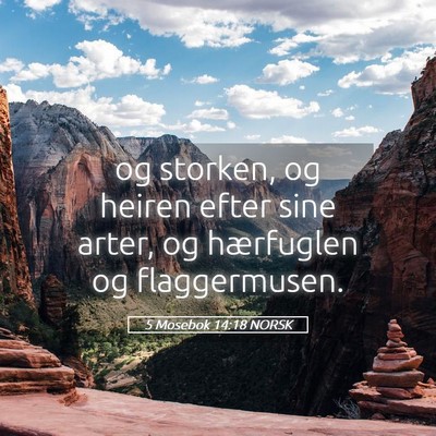 Picture 05 - 5 Mosebok 14:18 NORSK - og storken, og heiren efter sine arter, og - Bible Verse Picture