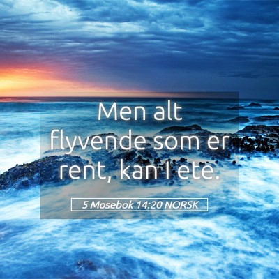 Picture 05 - 5 Mosebok 14:20 NORSK - Men alt flyvende som er rent, kan I - Bible Verse Picture