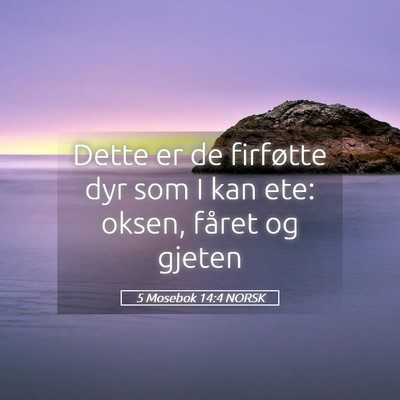 Picture 05 - 5 Mosebok 14:4 NORSK - Dette er de firføtte dyr som I kan ete: oksen, - Bible Verse Picture