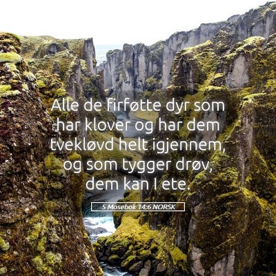 Picture 05 - 5 Mosebok 14:6 NORSK - Alle de firføtte dyr som har klover og har dem - Bible Verse Picture