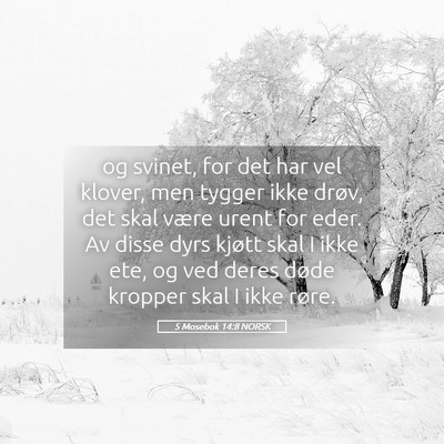 Picture 05 - 5 Mosebok 14:8 NORSK - og svinet, for det har vel klover, men tygger - Bible Verse Picture