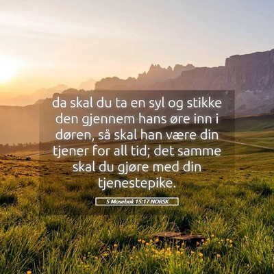 Picture 05 - 5 Mosebok 15:17 NORSK - da skal du ta en syl og stikke den gjennem hans - Bible Verse Picture