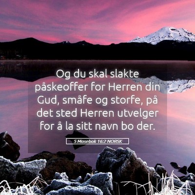 Picture 05 - 5 Mosebok 16:2 NORSK - Og du skal slakte påskeoffer for Herren din Gud, - Bible Verse Picture
