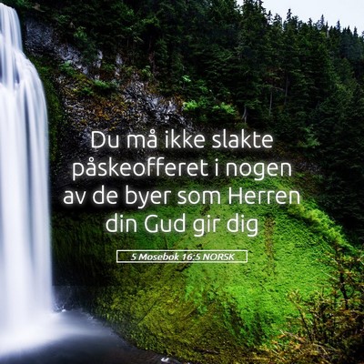 Picture 05 - 5 Mosebok 16:5 NORSK - Du må ikke slakte påskeofferet i nogen av de - Bible Verse Picture