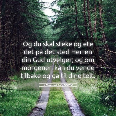 Picture 05 - 5 Mosebok 16:7 NORSK - Og du skal steke og ete det på det sted Herren - Bible Verse Picture