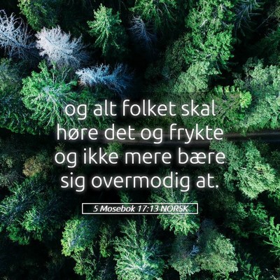 Picture 05 - 5 Mosebok 17:13 NORSK - og alt folket skal høre det og frykte og ikke - Bible Verse Picture
