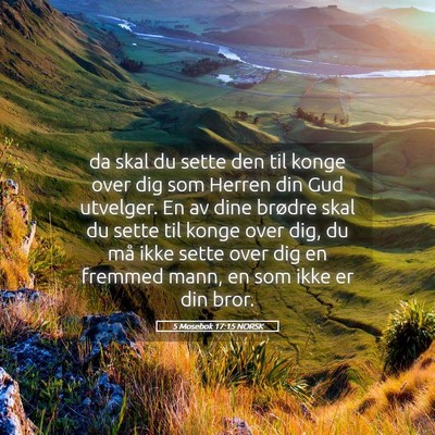 Picture 05 - 5 Mosebok 17:15 NORSK - da skal du sette den til konge over dig som - Bible Verse Picture