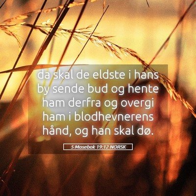 Picture 05 - 5 Mosebok 19:12 NORSK - da skal de eldste i hans by sende bud og hente - Bible Verse Picture