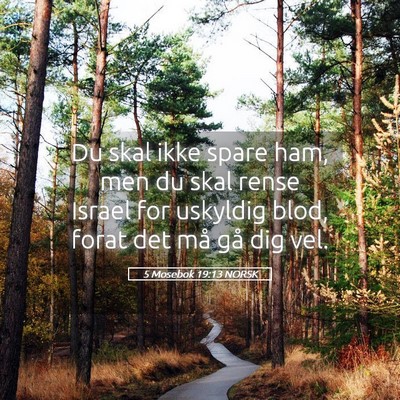 Picture 05 - 5 Mosebok 19:13 NORSK - Du skal ikke spare ham, men du skal rense Israel - Bible Verse Picture