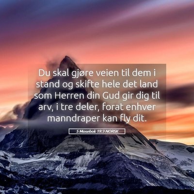 Picture 05 - 5 Mosebok 19:3 NORSK - Du skal gjøre veien til dem i stand og skifte - Bible Verse Picture