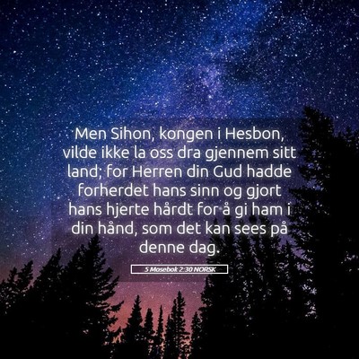 Picture 05 - 5 Mosebok 2:30 NORSK - Men Sihon, kongen i Hesbon, vilde ikke la oss dra - Bible Verse Picture