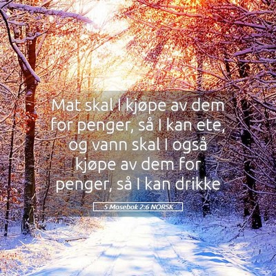 Picture 05 - 5 Mosebok 2:6 NORSK - Mat skal I kjøpe av dem for penger, så I kan - Bible Verse Picture