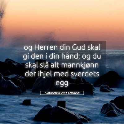 Picture 05 - 5 Mosebok 20:13 NORSK - og Herren din Gud skal gi den i din hånd; og du - Bible Verse Picture
