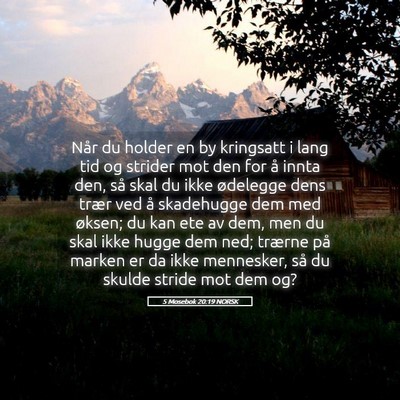 Picture 05 - 5 Mosebok 20:19 NORSK - Når du holder en by kringsatt i lang tid og - Bible Verse Picture