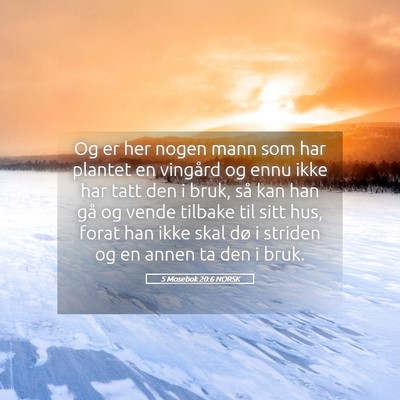 Picture 05 - 5 Mosebok 20:6 NORSK - Og er her nogen mann som har plantet en vingård - Bible Verse Picture