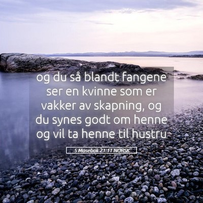 Picture 05 - 5 Mosebok 21:11 NORSK - og du så blandt fangene ser en kvinne som er - Bible Verse Picture