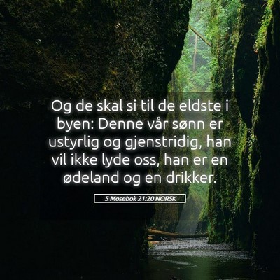 Picture 05 - 5 Mosebok 21:20 NORSK - Og de skal si til de eldste i byen: Denne vår - Bible Verse Picture