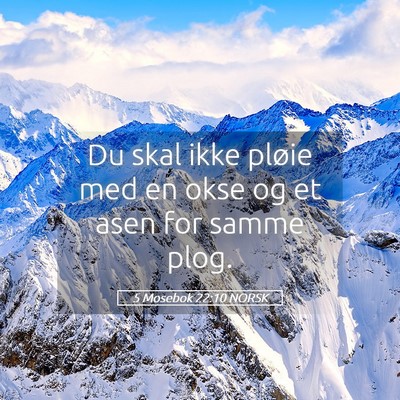 Picture 05 - 5 Mosebok 22:10 NORSK - Du skal ikke pløie med en okse og et asen for - Bible Verse Picture