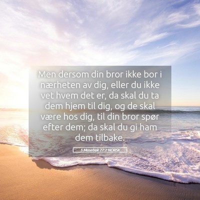 Picture 05 - 5 Mosebok 22:2 NORSK - Men dersom din bror ikke bor i nærheten av dig, - Bible Verse Picture
