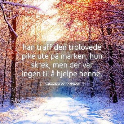 Picture 05 - 5 Mosebok 22:27 NORSK - han traff den trolovede pike ute på marken, hun - Bible Verse Picture