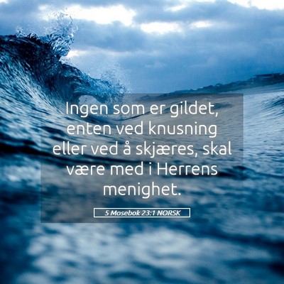 Picture 05 - 5 Mosebok 23:1 NORSK - Ingen som er gildet, enten ved knusning eller ved - Bible Verse Picture