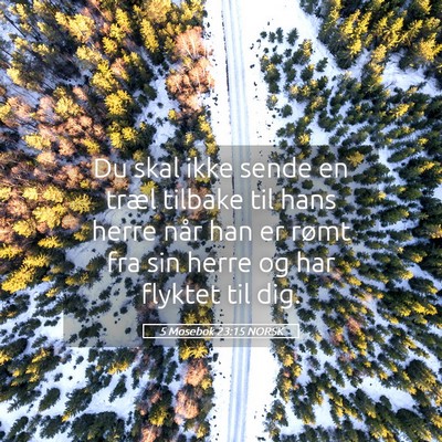 Picture 05 - 5 Mosebok 23:15 NORSK - Du skal ikke sende en træl tilbake til hans - Bible Verse Picture