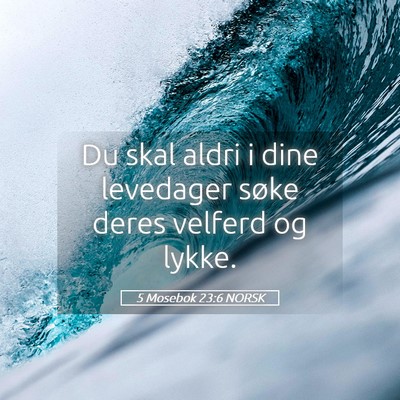 Picture 05 - 5 Mosebok 23:6 NORSK - Du skal aldri i dine levedager søke deres - Bible Verse Picture