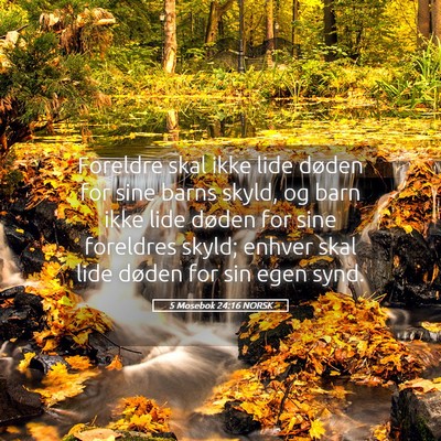 Picture 05 - 5 Mosebok 24:16 NORSK - Foreldre skal ikke lide døden for sine barns - Bible Verse Picture