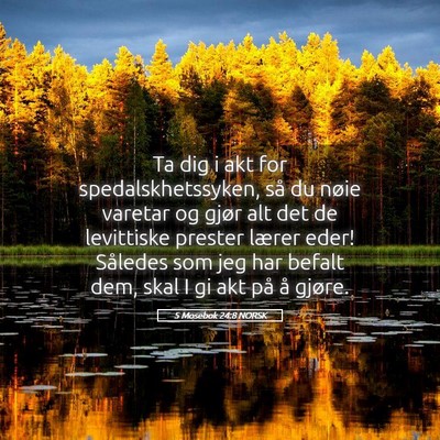 Picture 05 - 5 Mosebok 24:8 NORSK - Ta dig i akt for spedalskhetssyken, så du nøie - Bible Verse Picture