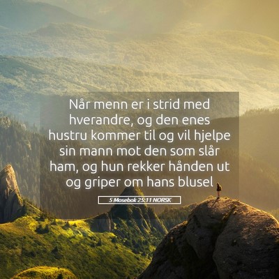 Picture 05 - 5 Mosebok 25:11 NORSK - Når menn er i strid med hverandre, og den enes - Bible Verse Picture