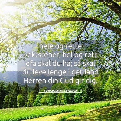 Picture 05 - 5 Mosebok 25:15 NORSK - hele og rette vektstener, hel og rett efa skal du - Bible Verse Picture