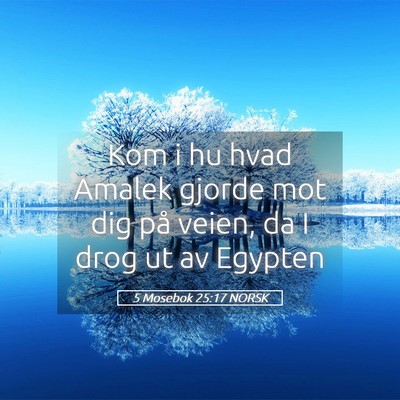 Picture 05 - 5 Mosebok 25:17 NORSK - Kom i hu hvad Amalek gjorde mot dig på veien, da - Bible Verse Picture