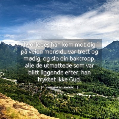 Picture 05 - 5 Mosebok 25:18 NORSK - hvorledes han kom mot dig på veien mens du var - Bible Verse Picture
