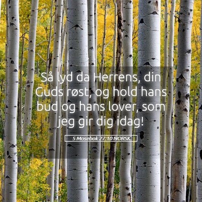 Picture 05 - 5 Mosebok 27:10 NORSK - Så lyd da Herrens, din Guds røst, og hold hans - Bible Verse Picture
