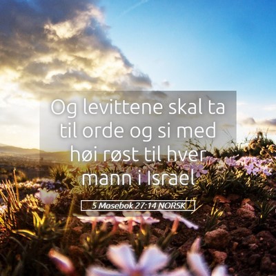 Picture 05 - 5 Mosebok 27:14 NORSK - Og levittene skal ta til orde og si med høi - Bible Verse Picture