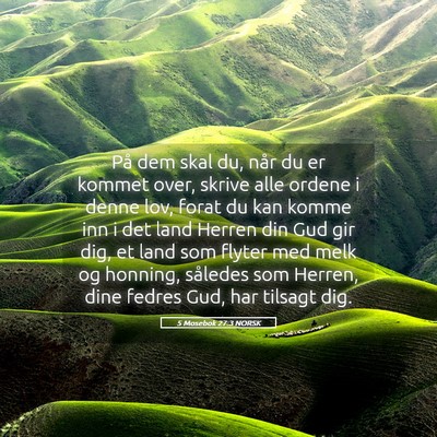 Picture 05 - 5 Mosebok 27:3 NORSK - På dem skal du, når du er kommet over, skrive - Bible Verse Picture