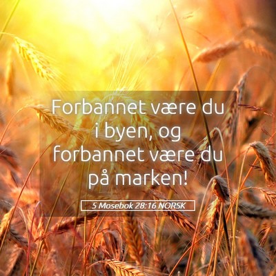 Picture 05 - 5 Mosebok 28:16 NORSK - Forbannet være du i byen, og forbannet være du - Bible Verse Picture