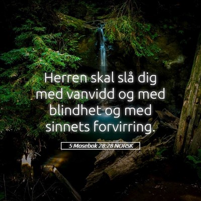 Picture 05 - 5 Mosebok 28:28 NORSK - Herren skal slå dig med vanvidd og med blindhet - Bible Verse Picture