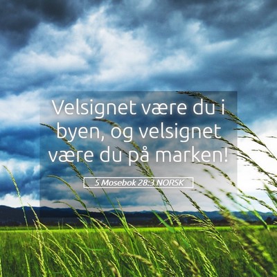Picture 05 - 5 Mosebok 28:3 NORSK - Velsignet være du i byen, og velsignet være du - Bible Verse Picture