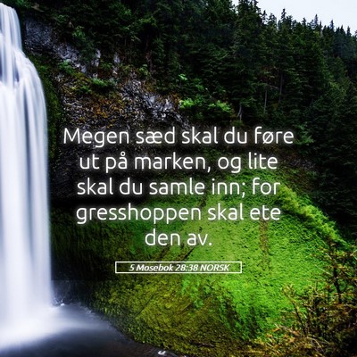 Picture 05 - 5 Mosebok 28:38 NORSK - Megen sæd skal du føre ut på marken, og lite - Bible Verse Picture