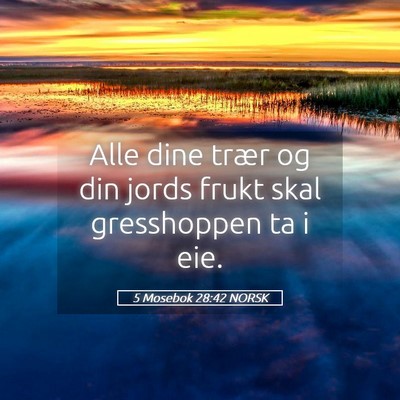 Picture 05 - 5 Mosebok 28:42 NORSK - Alle dine trær og din jords frukt skal - Bible Verse Picture