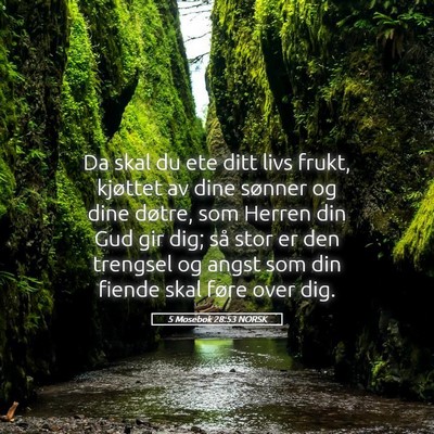 Picture 05 - 5 Mosebok 28:53 NORSK - Da skal du ete ditt livs frukt, kjøttet av dine - Bible Verse Picture