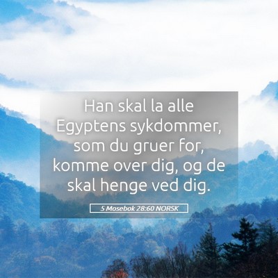 Picture 05 - 5 Mosebok 28:60 NORSK - Han skal la alle Egyptens sykdommer, som du gruer - Bible Verse Picture