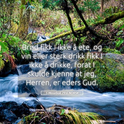 Picture 05 - 5 Mosebok 29:6 NORSK - Brød fikk I ikke å ete, og vin eller sterk - Bible Verse Picture