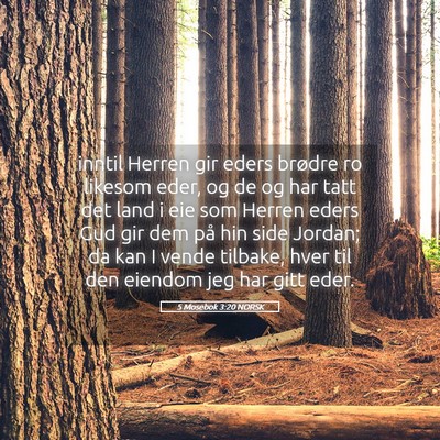 Picture 05 - 5 Mosebok 3:20 NORSK - inntil Herren gir eders brødre ro likesom eder, - Bible Verse Picture